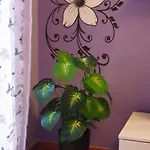 Apartman Magnolia House