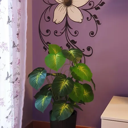 Apartmán Magnolia House