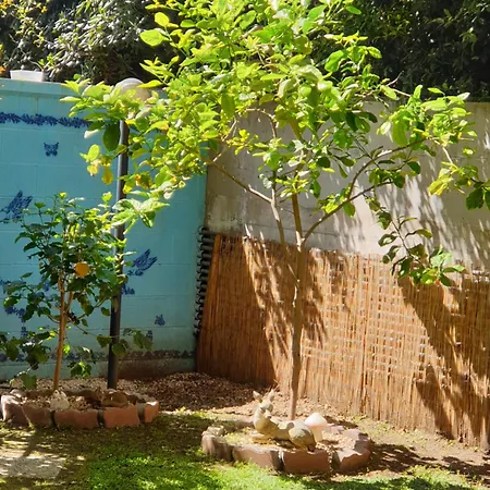 Magnolia House Apartman *
